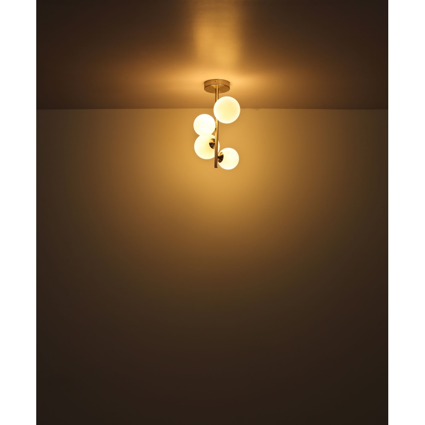 Globo - Lámpara colgante LED 4xG9/3W/230V cromo mate
