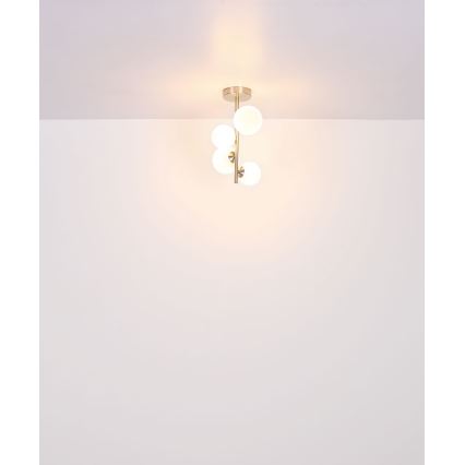 Globo - Lámpara colgante LED 4xG9/3W/230V cromo mate