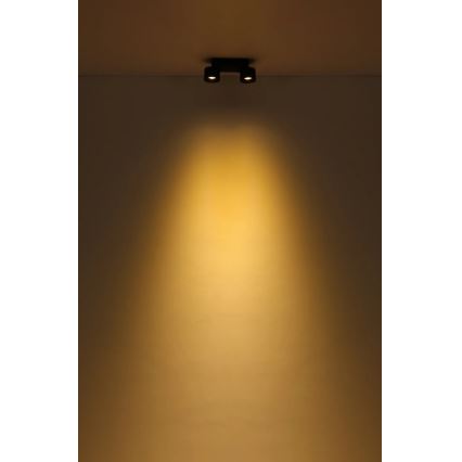 Globo - Foco LED 2xLED/6W/230V negro