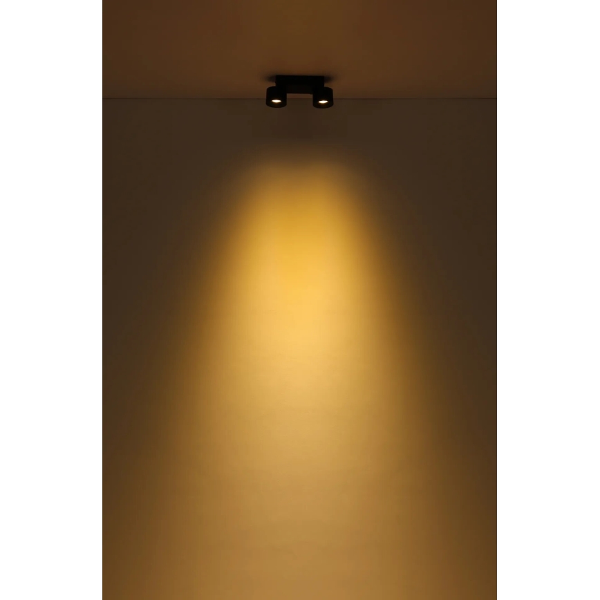 Globo - Foco LED 2xLED/6W/230V negro