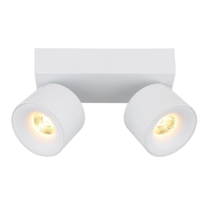 Globo - Foco LED 2xLED/6W/230V blanco
