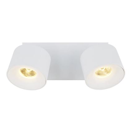 Globo - Foco LED 2xLED/6W/230V blanco