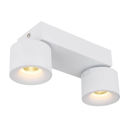 Globo - Foco LED 2xLED/6W/230V blanco