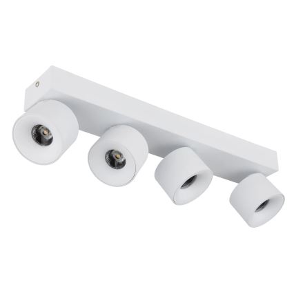 Globo - Foco LED 4xLED/6W/230V blanco