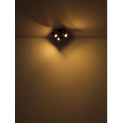 Globo - Foco 3xGU10/25W/230V negro