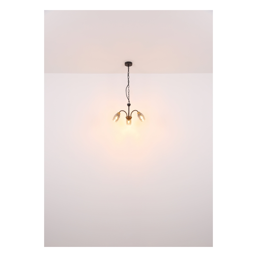 Globo - Lámpara de araña con cadena 3xE14/25W/230V