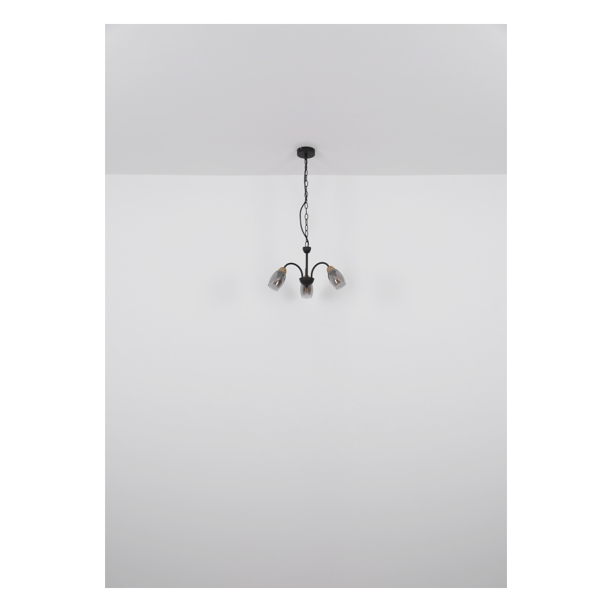 Globo - Lámpara de araña con cadena 3xE14/25W/230V