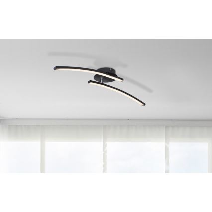 Globo - Lámpara de techo LED 2xLED/6W/230V 3000/4000/6000K