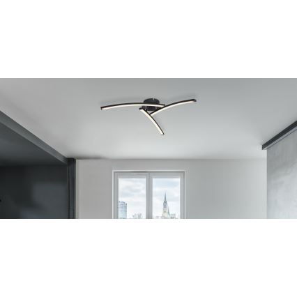 Globo - Lámpara de techo LED 3xLED/6W/230V 3000/4000/6000K