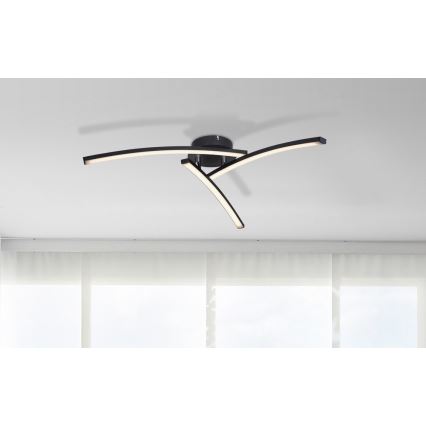 Globo - Lámpara de techo LED 3xLED/6W/230V 3000/4000/6000K