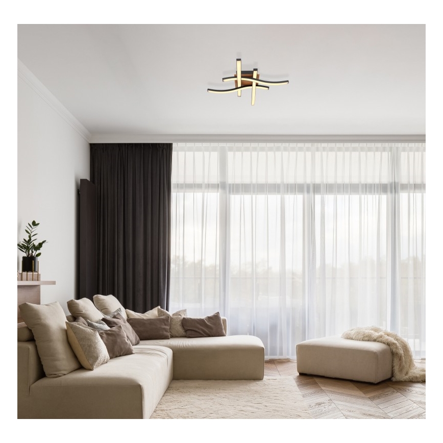 Globo - Lámpara de superficie LED 4xLED/5W/230V
