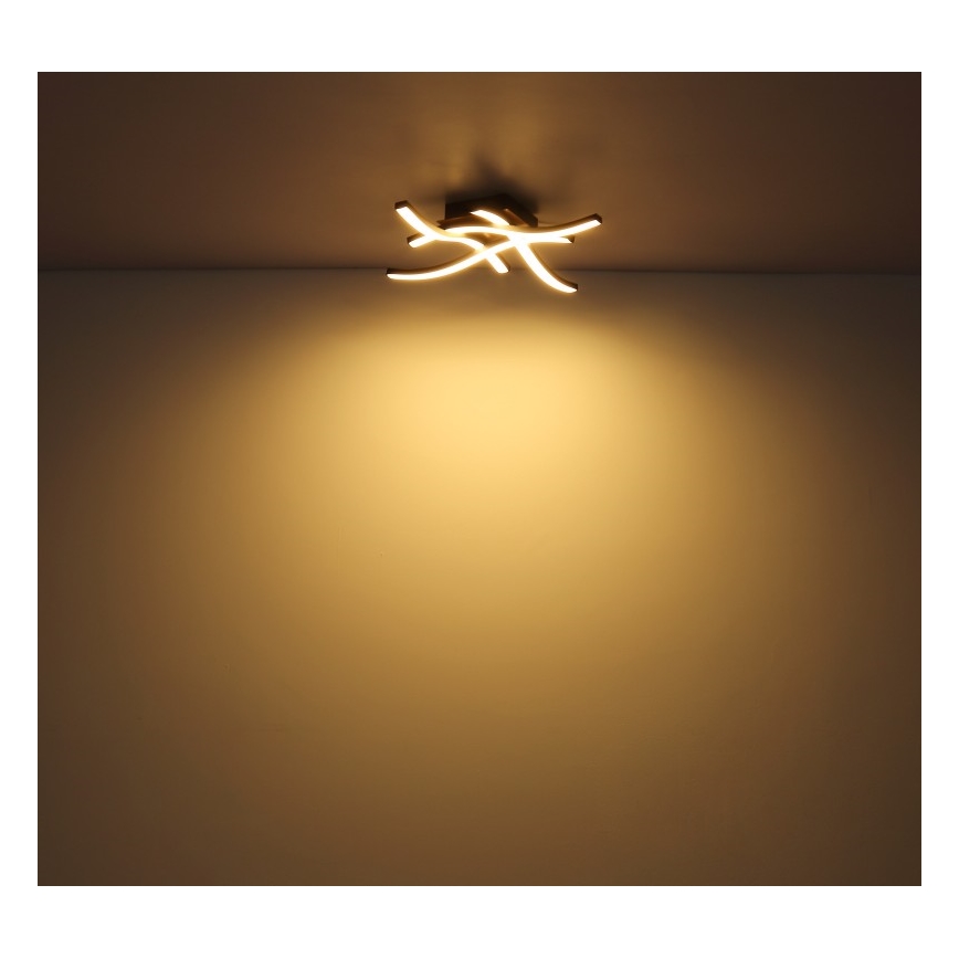 Globo - Lámpara de superficie LED 4xLED/5W/230V