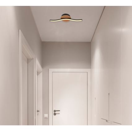 Globo - Plafón LED LED/6W/230V