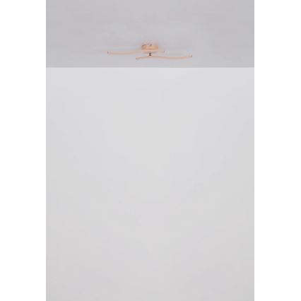 Globo - Lámpara de techo LED LED/12W/230V 3000K naranja