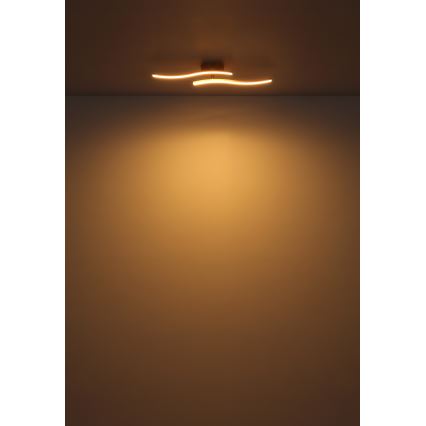 Globo - Lámpara de techo LED LED/12W/230V 3000K blanco