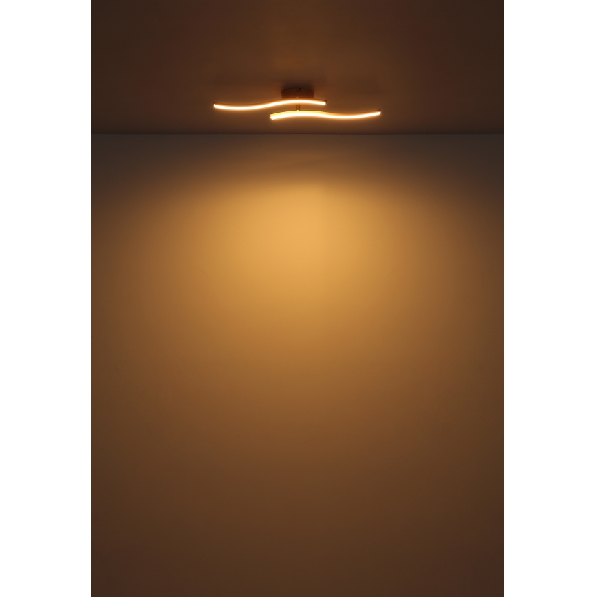 Globo - Lámpara de techo LED LED/12W/230V 3000K blanco