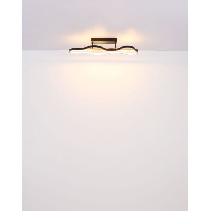 Globo - Lámpara de techo LED LED/30W/230V