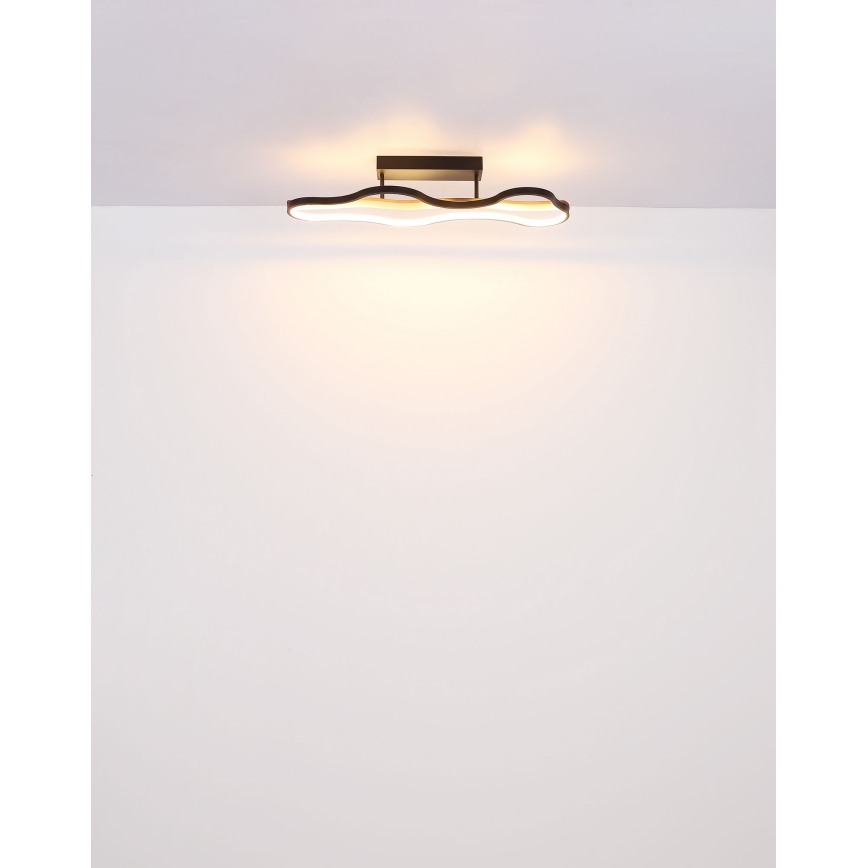 Globo - Lámpara de techo LED LED/30W/230V