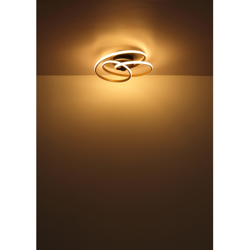 Globo - Lámpara de techo LED LED/40W/230V 3000K dorado/negro