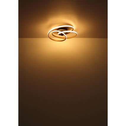 Globo - Lámpara de techo LED LED/40W/230V 3000K cromo mate/negro