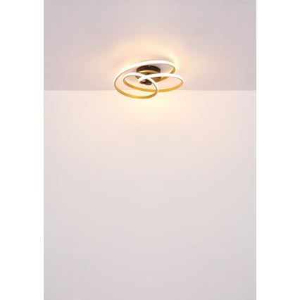 Globo - Lámpara de techo LED LED/40W/230V 3000K cromo mate/negro