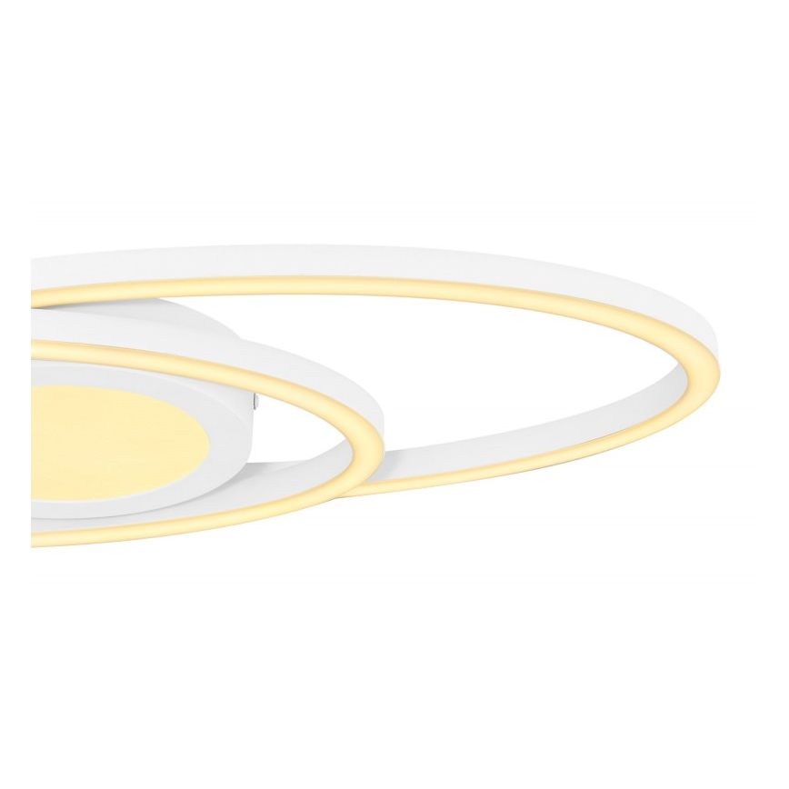 Globo - Plafón LED LED/24W/230V