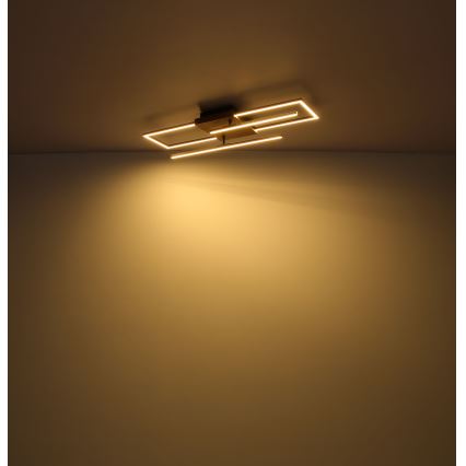 Globo - Plafón LED LED/18W/230V