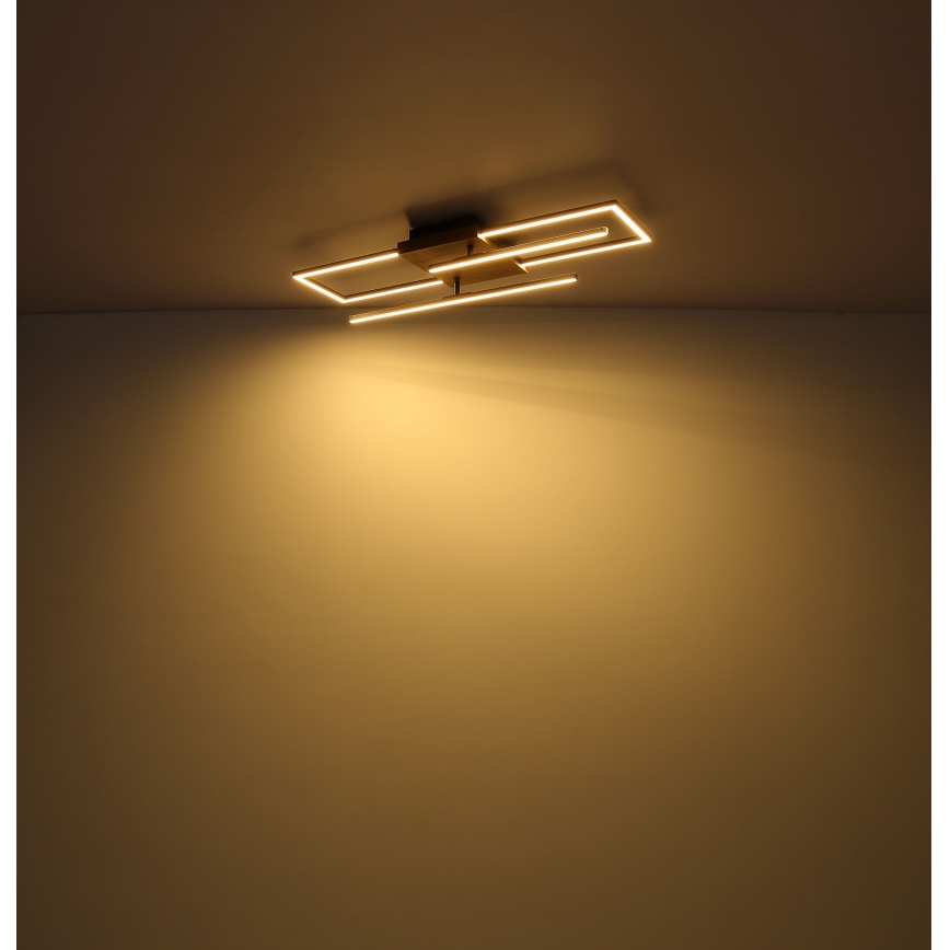Globo - Plafón LED LED/18W/230V