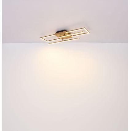 Globo - Plafón LED LED/18W/230V
