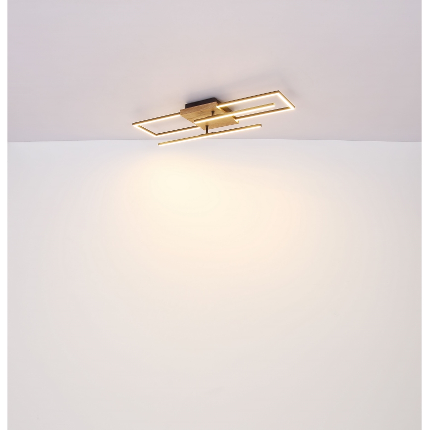 Globo - Plafón LED LED/18W/230V