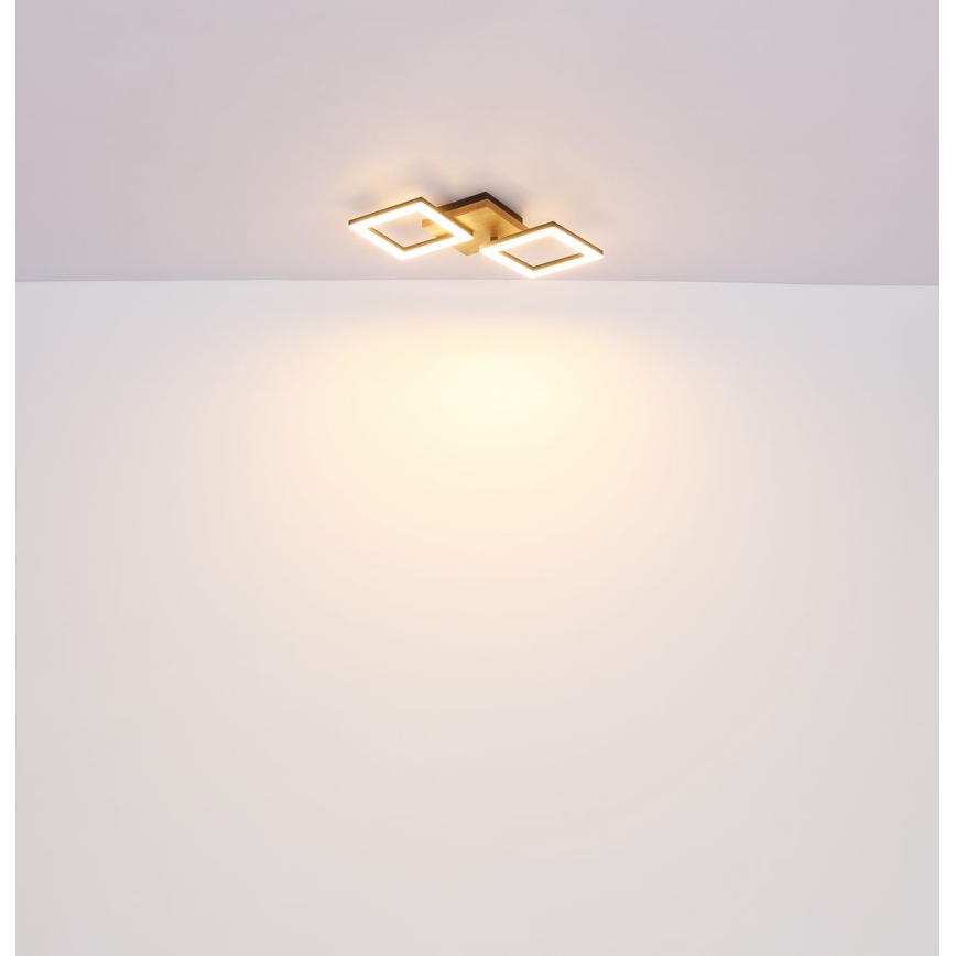 Globo - Lámpara de techo LED LED/18W/230V