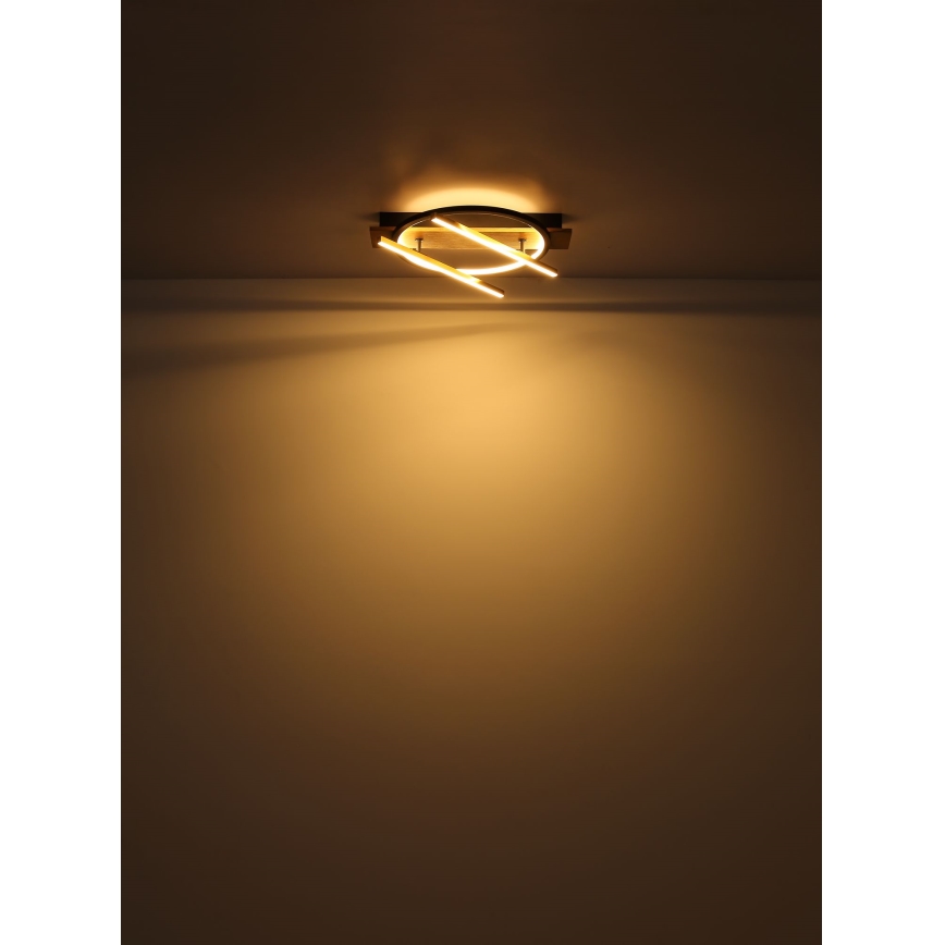 Globo - Plafón LED LED/32W/230V