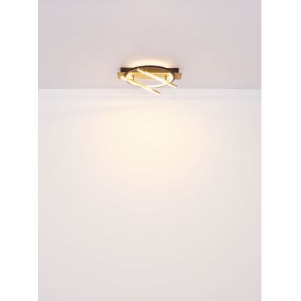 Globo - Plafón LED LED/32W/230V