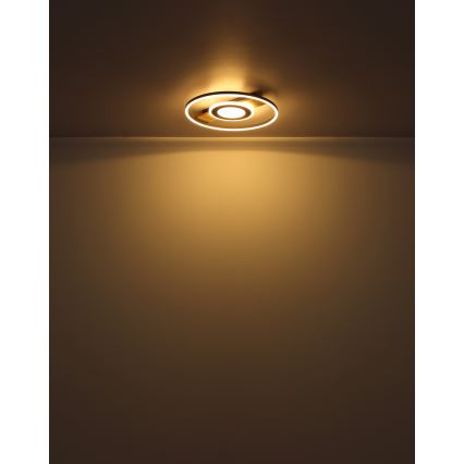 Globo - Plafón LED LED/24W/230V