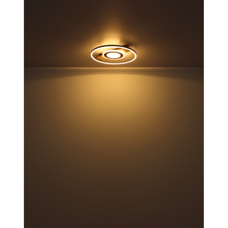 Globo - Plafón LED LED/24W/230V