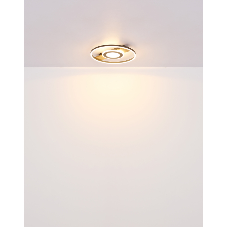 Globo - Plafón LED LED/24W/230V