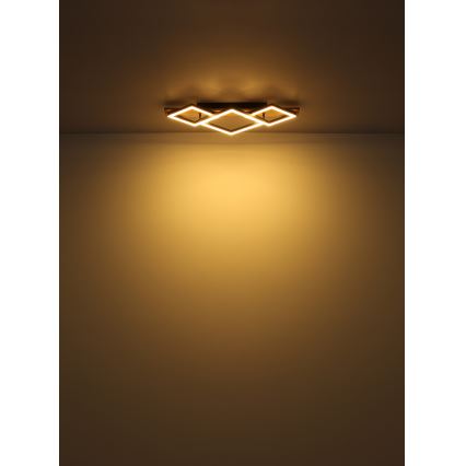 Globo - Plafón LED LED/24W/230V
