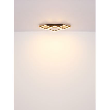 Globo - Plafón LED LED/24W/230V