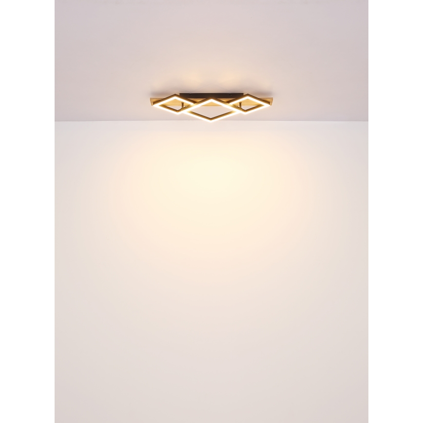 Globo - Plafón LED LED/24W/230V