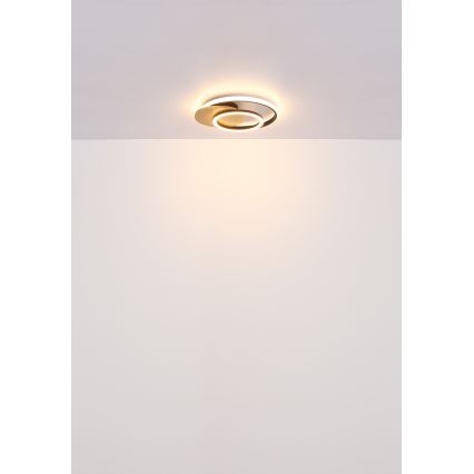Globo - Plafón LED LED/24W/230V negro