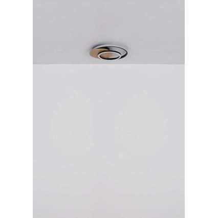 Globo - Plafón LED LED/24W/230V negro