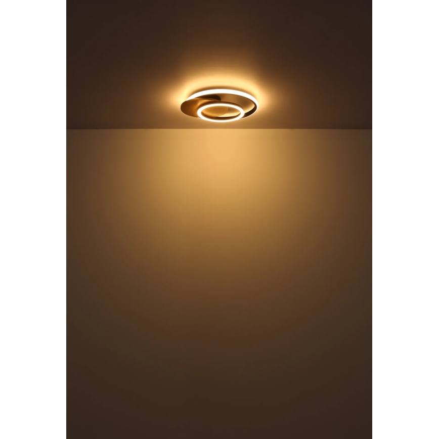 Globo - Plafón LED LED/24W/230V