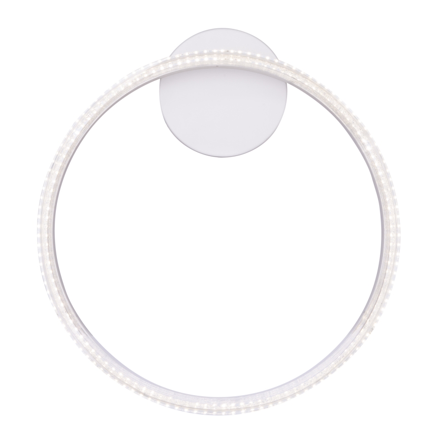 Globo - Plafón LED LED/24W/230V