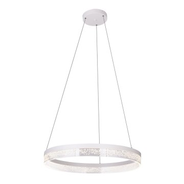 Globo 68225-36 - Lámpara LED colgante SMITTY 1xLED/36W/230V