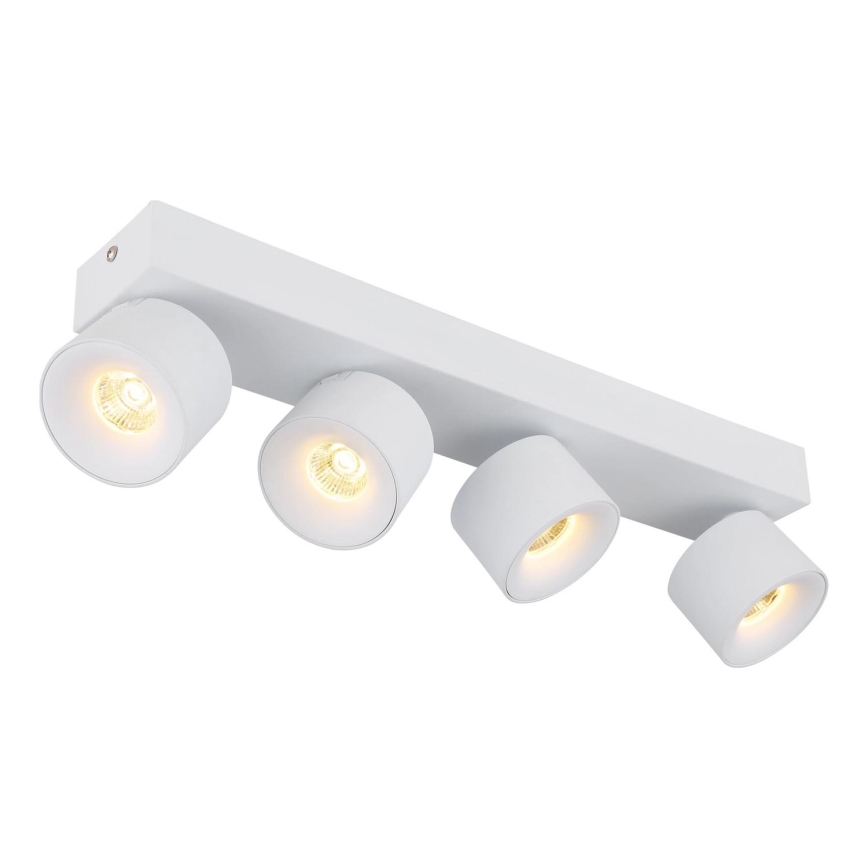 Globo - Foco LED 4xLED/6W/230V blanco