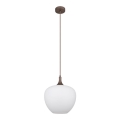 Globo - Lámpara colgante 1xE27/60W/230V diá. 29 cm blanco/marrón