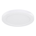 Globo - Lámpara de techo LED LED/18W/230V