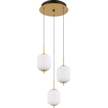 Globo - Lámpara LED colgante LED/20W/230V