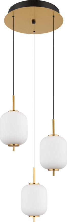 Globo - Lámpara LED colgante LED/20W/230V