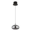 Globo - Lámpara LED colgante LED/6W/230V negro